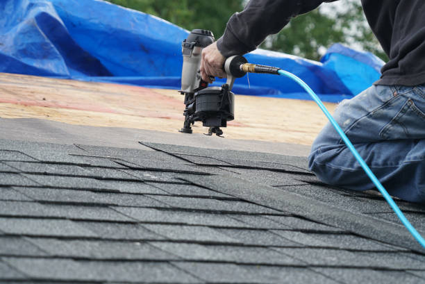 Asphalt Shingles Roofing in Cerro Gordo, IL